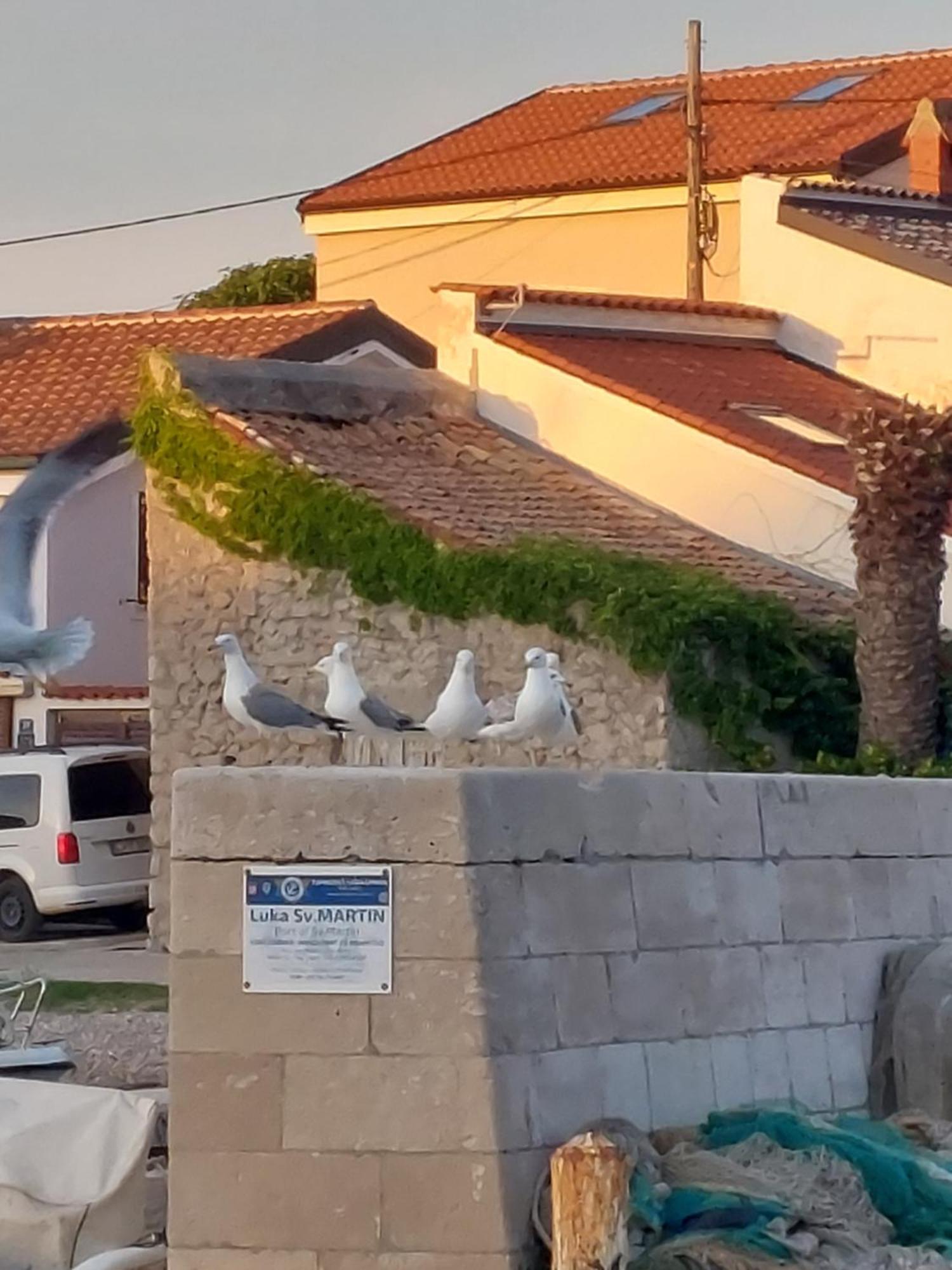 Apartments Suncica Mali Lošinj Zewnętrze zdjęcie
